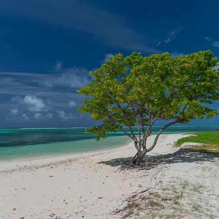 Chao Guest House Maafushi Ngoại thất bức ảnh