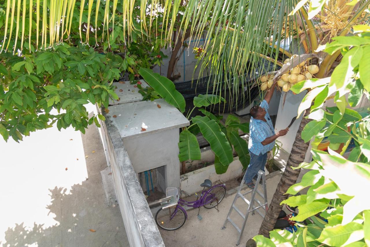 Chao Guest House Maafushi Ngoại thất bức ảnh