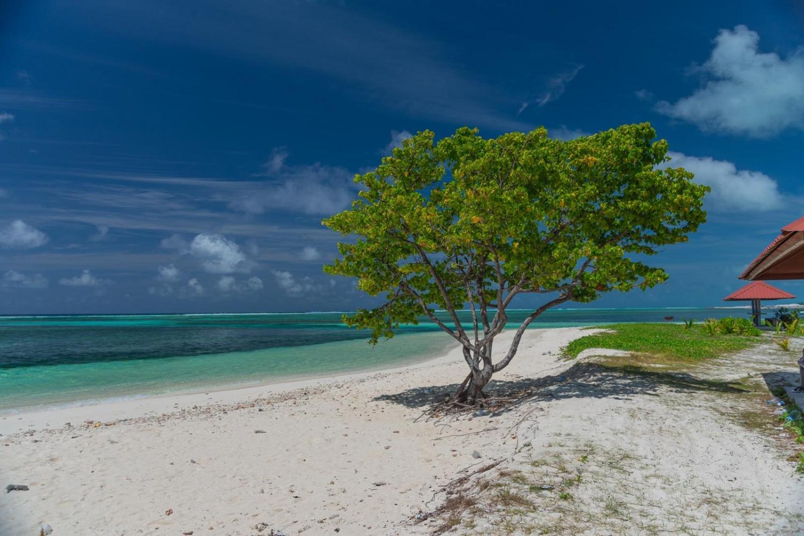 Chao Guest House Maafushi Ngoại thất bức ảnh
