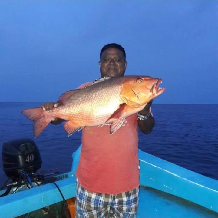 Chao Guest House Maafushi Ngoại thất bức ảnh